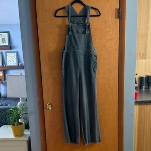 Aerie Smoked Gray Women's Jeans Overalls